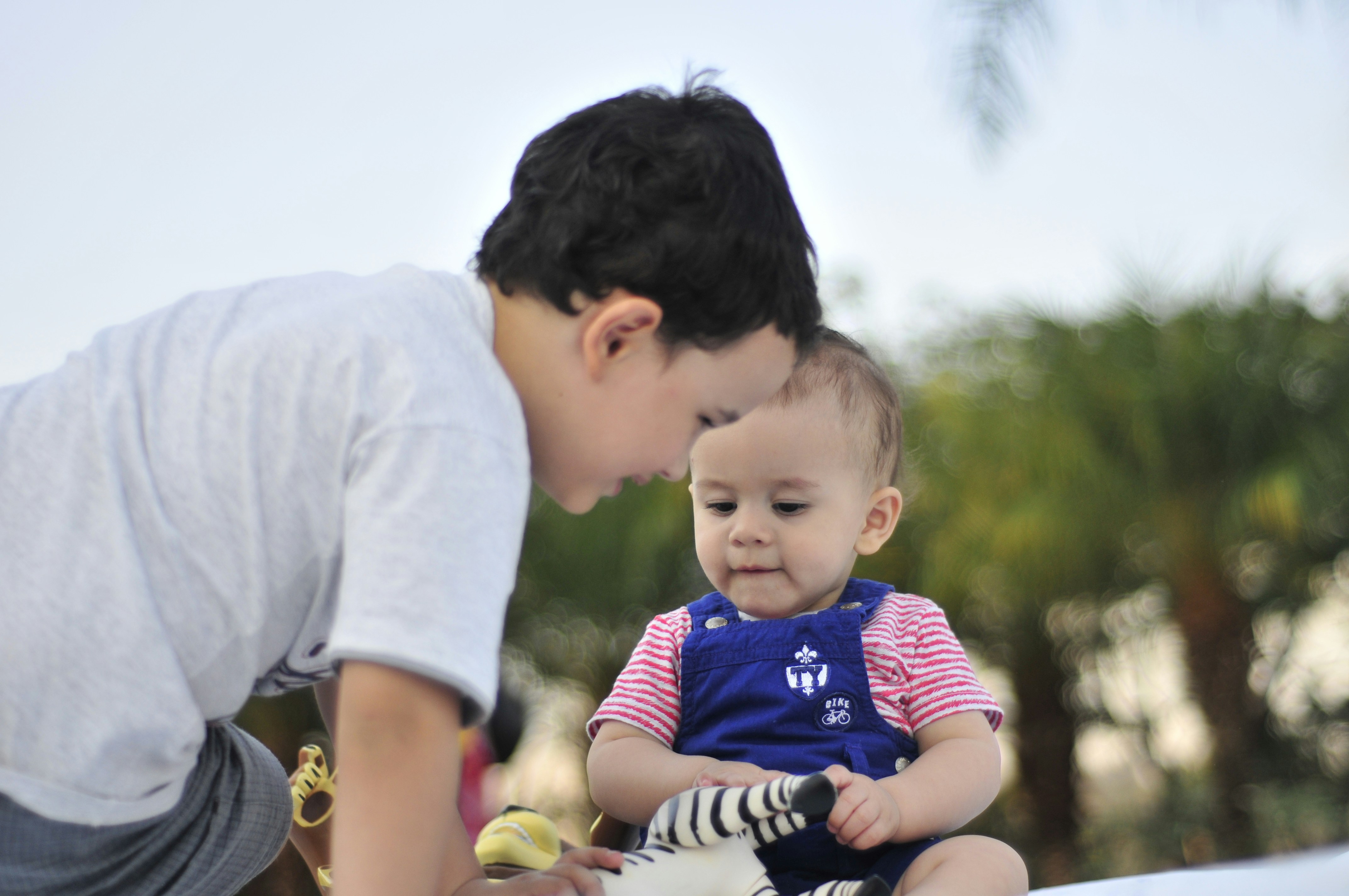 Free Unsplash photo from Danilo Marcondes Vieira