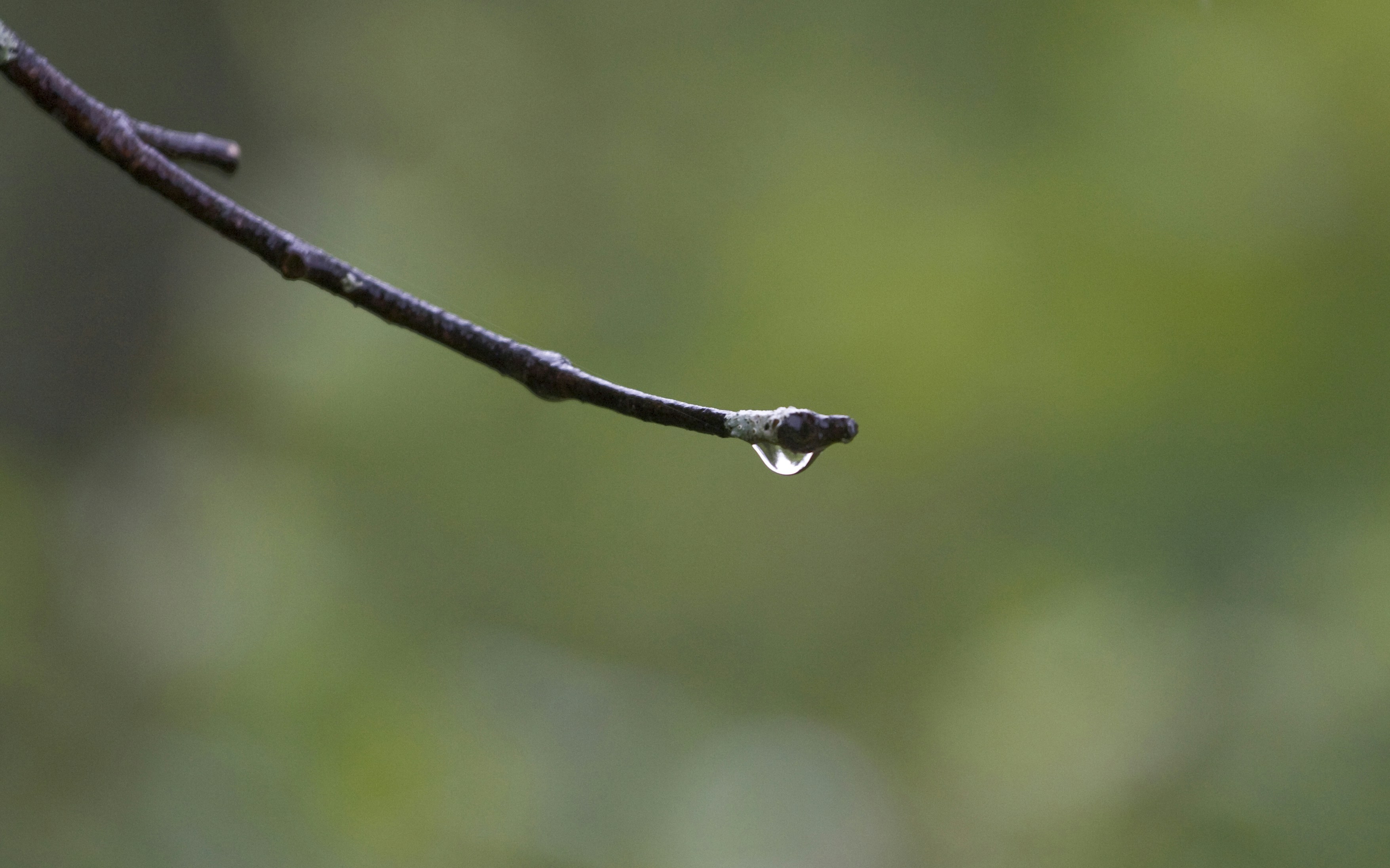 Free Unsplash photo from Hilary Little