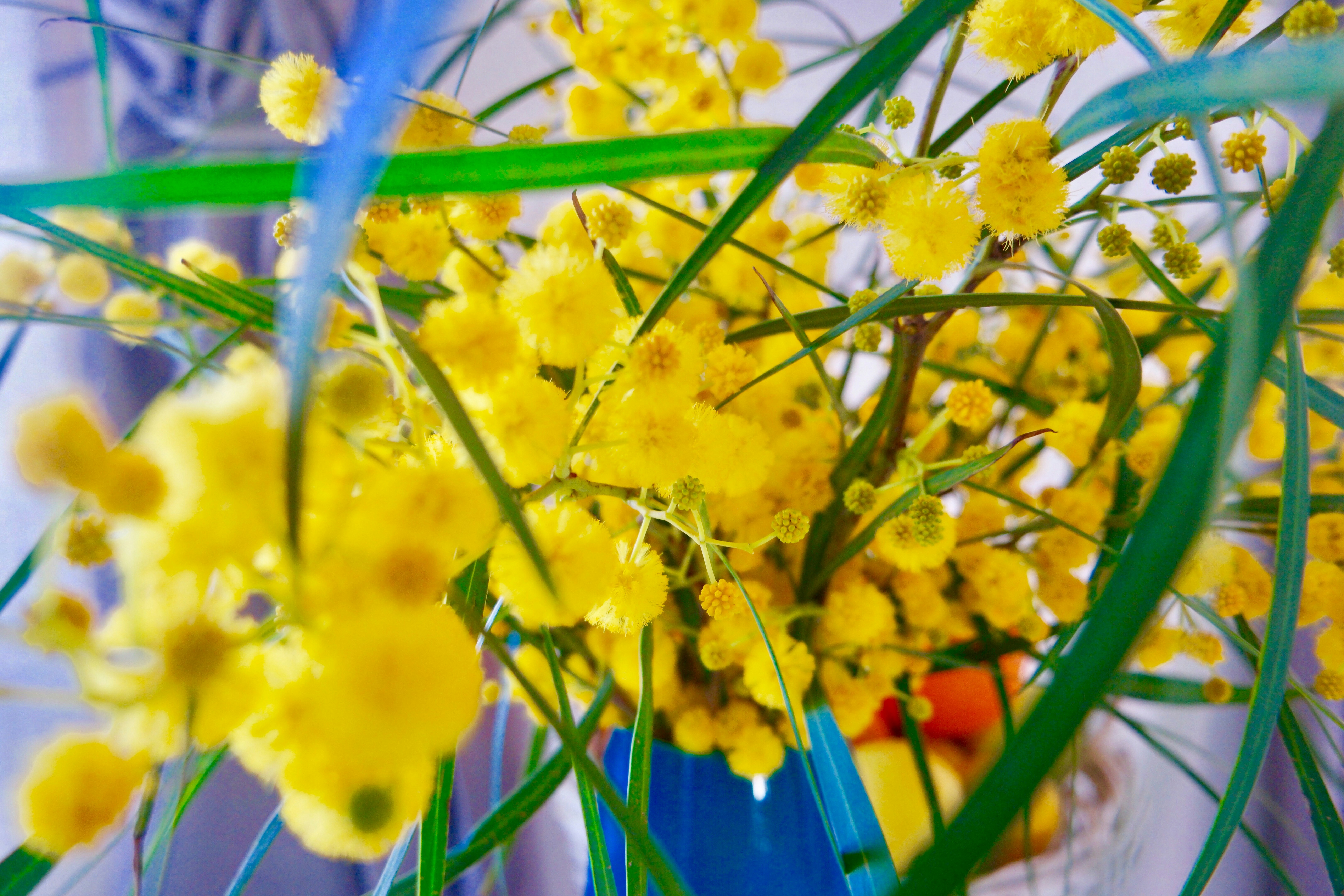 Free Unsplash photo from Elena A