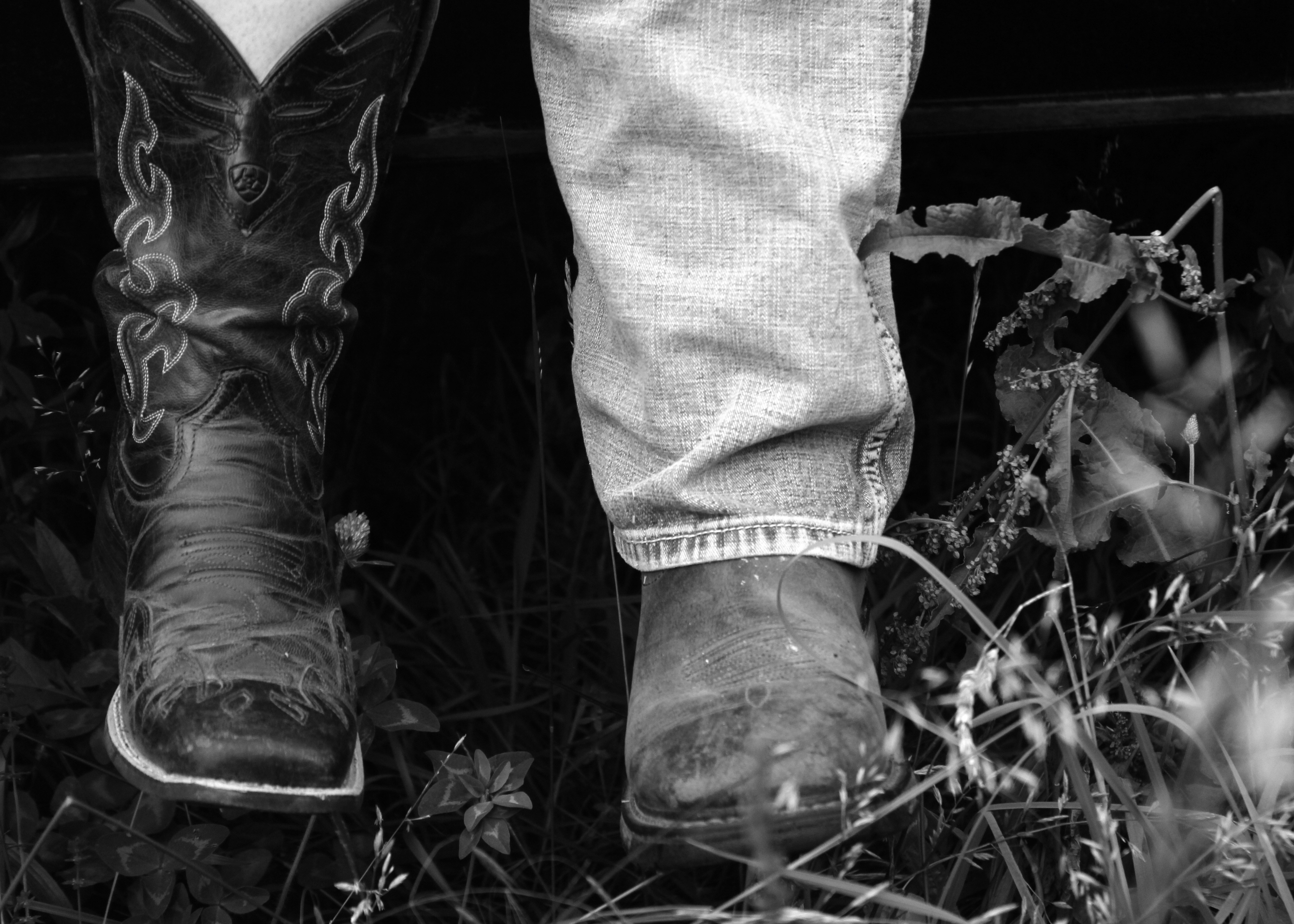 乡村爱情第四部全集免费40集，乡村爱情第四部全集免费40集赵四开聚到会