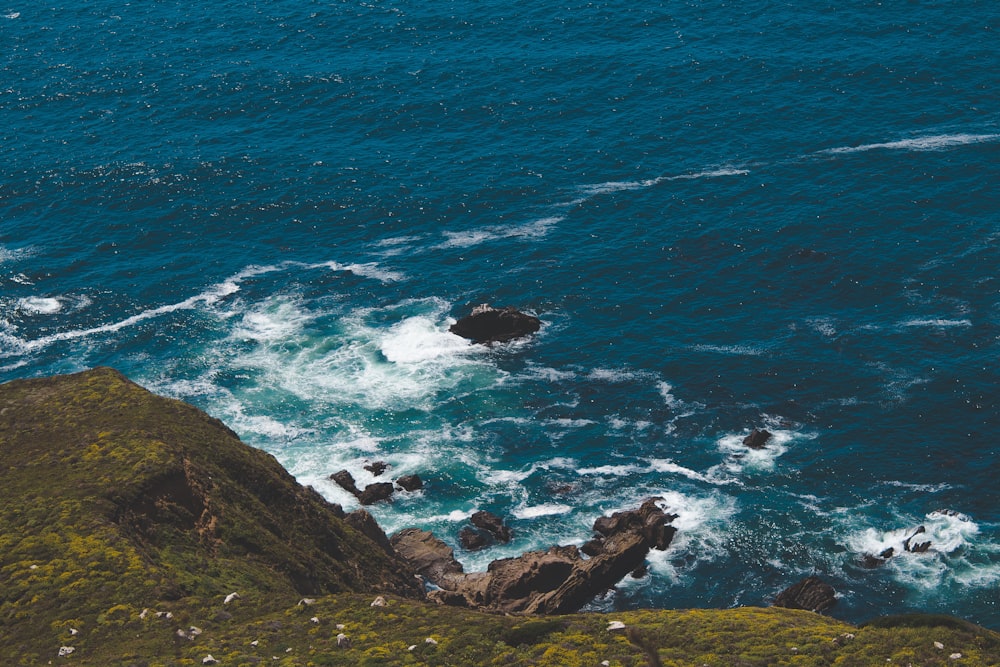 green grass mountain near ocean