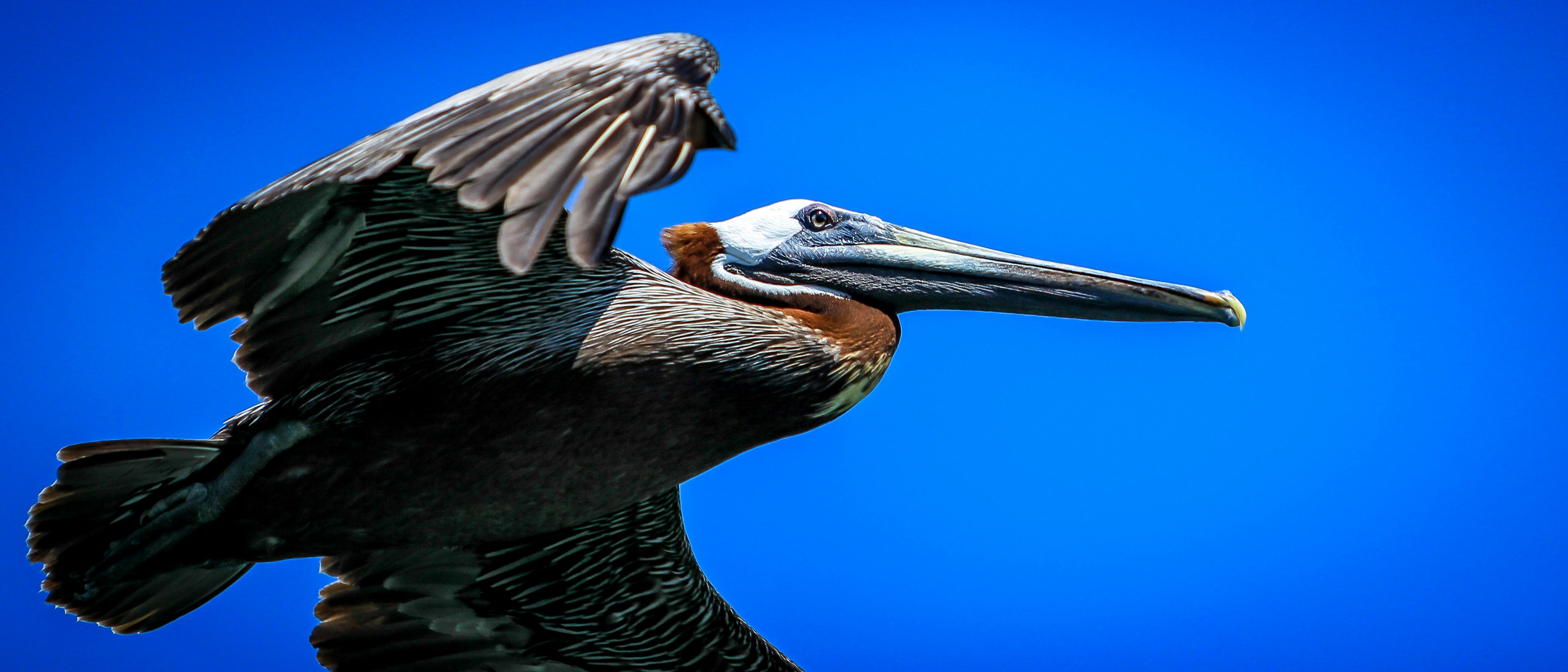 Free Unsplash photo from Alex Guillaume