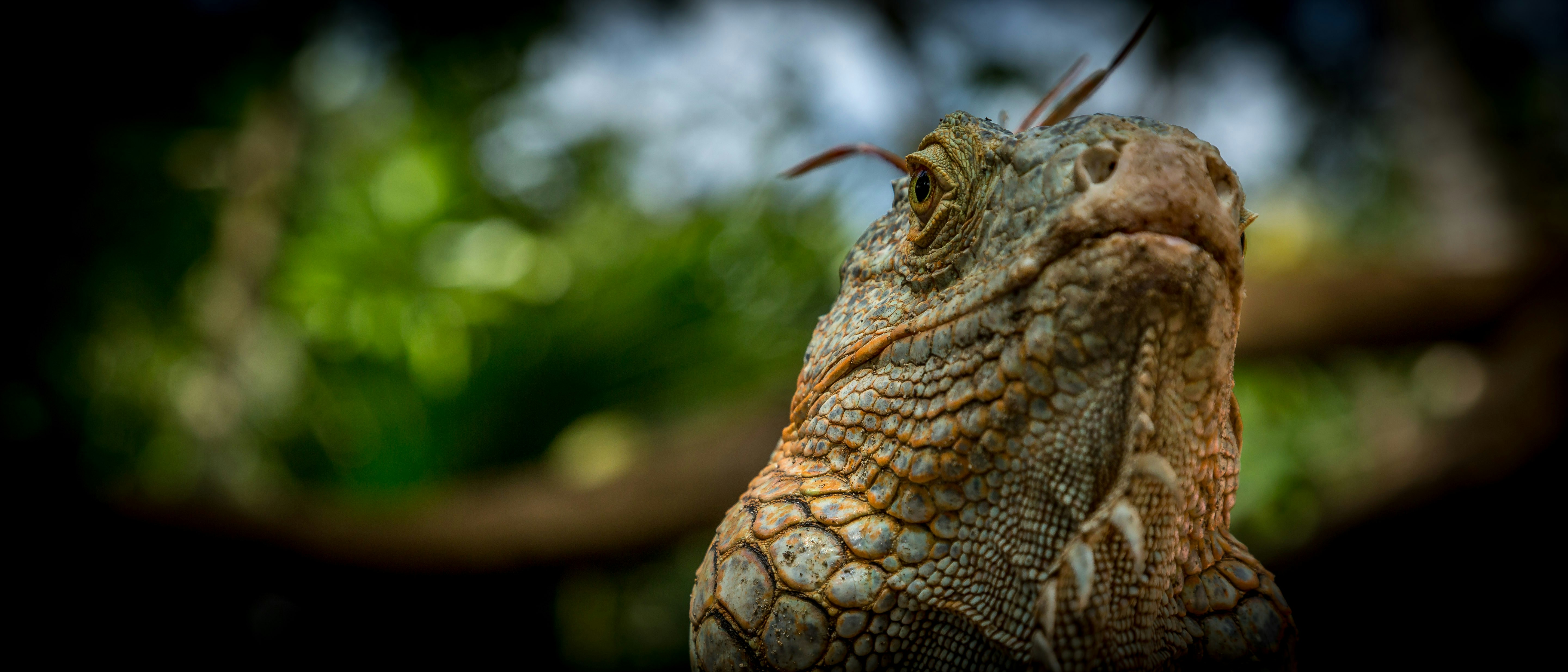 Free Unsplash photo from Alex Guillaume