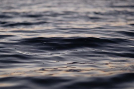 photo of Byron Bay Ocean near Mount Warning