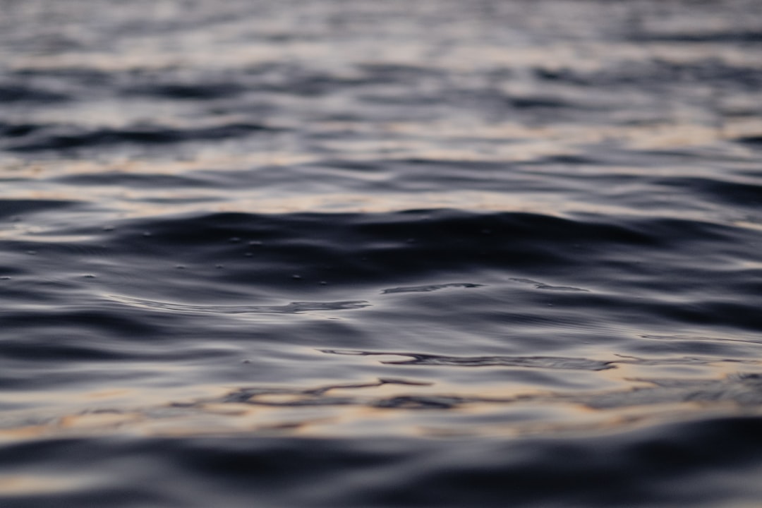 photo of Byron Bay Ocean near Cape Byron State Conservation Area