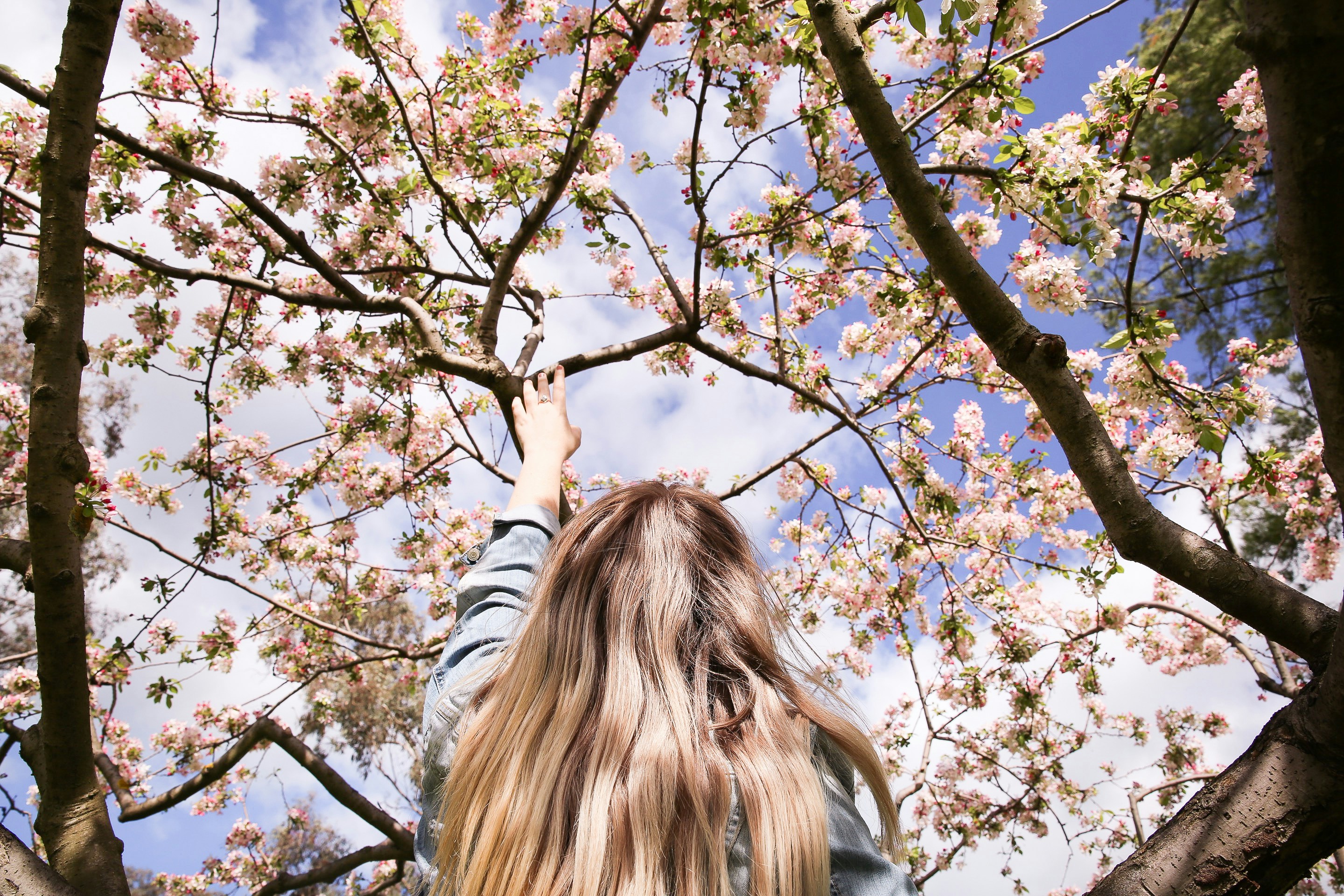 Free Unsplash photo from taylah nilsson