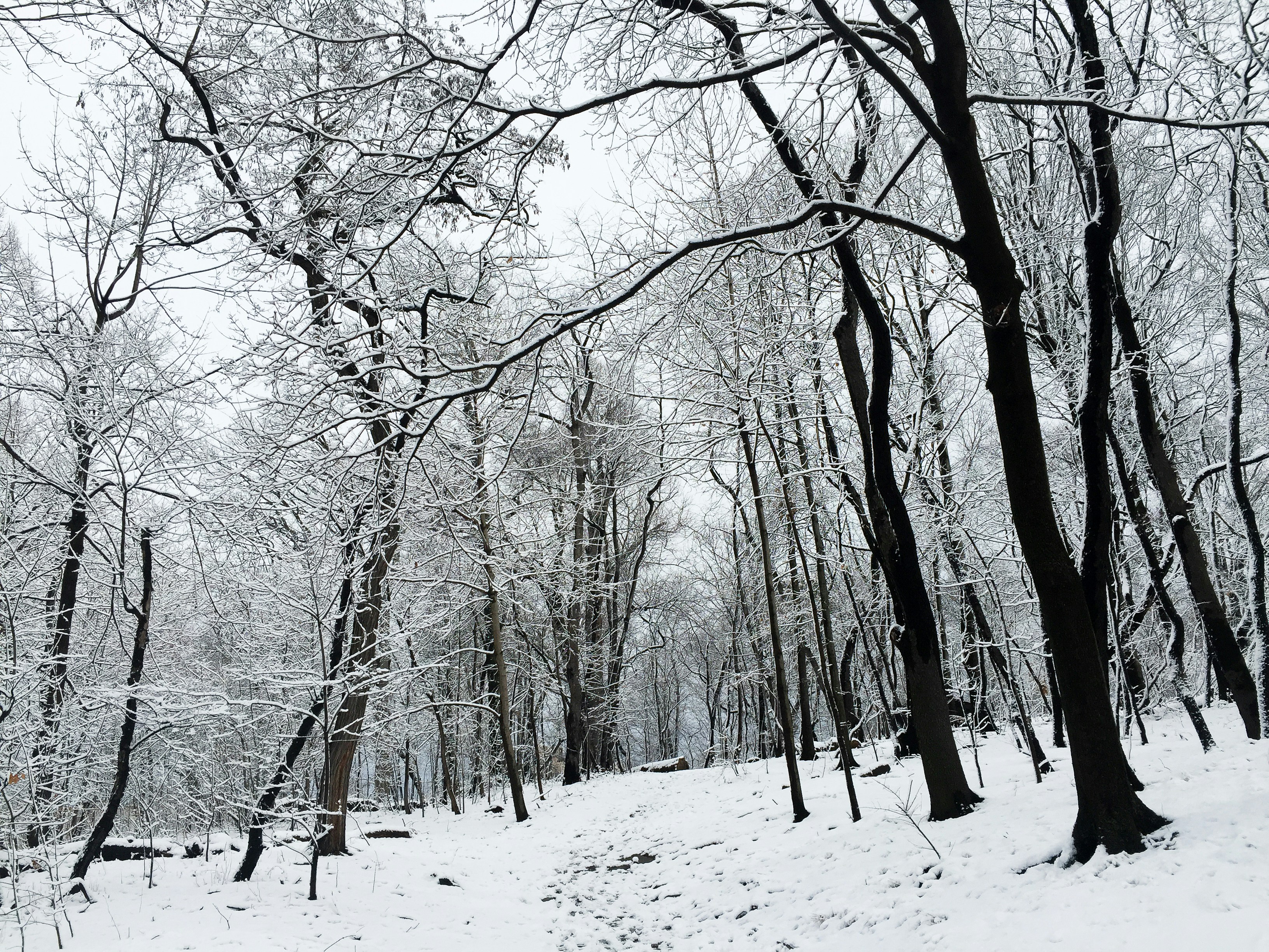 Free Unsplash photo from taylah nilsson