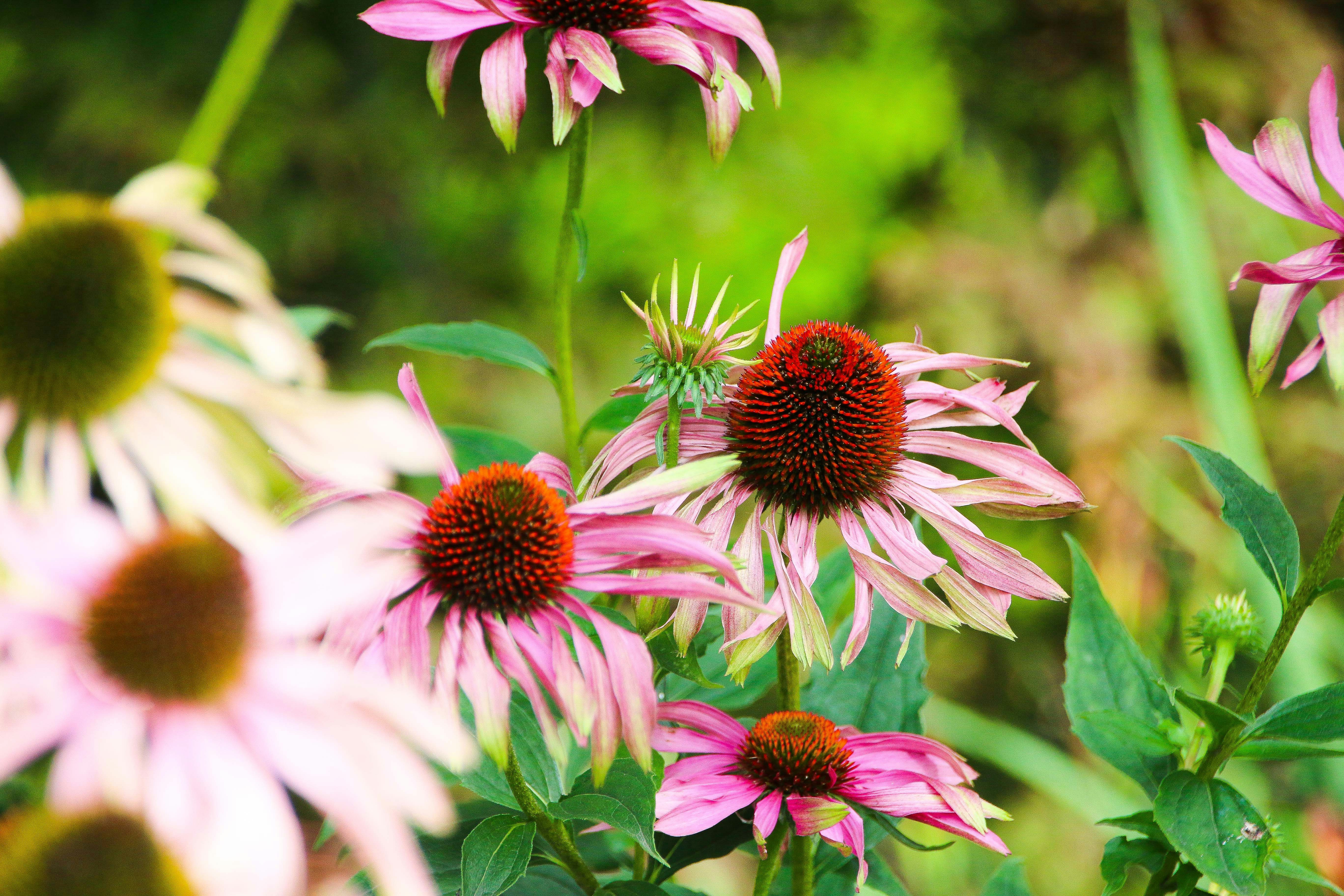 Free Unsplash photo from taylah nilsson