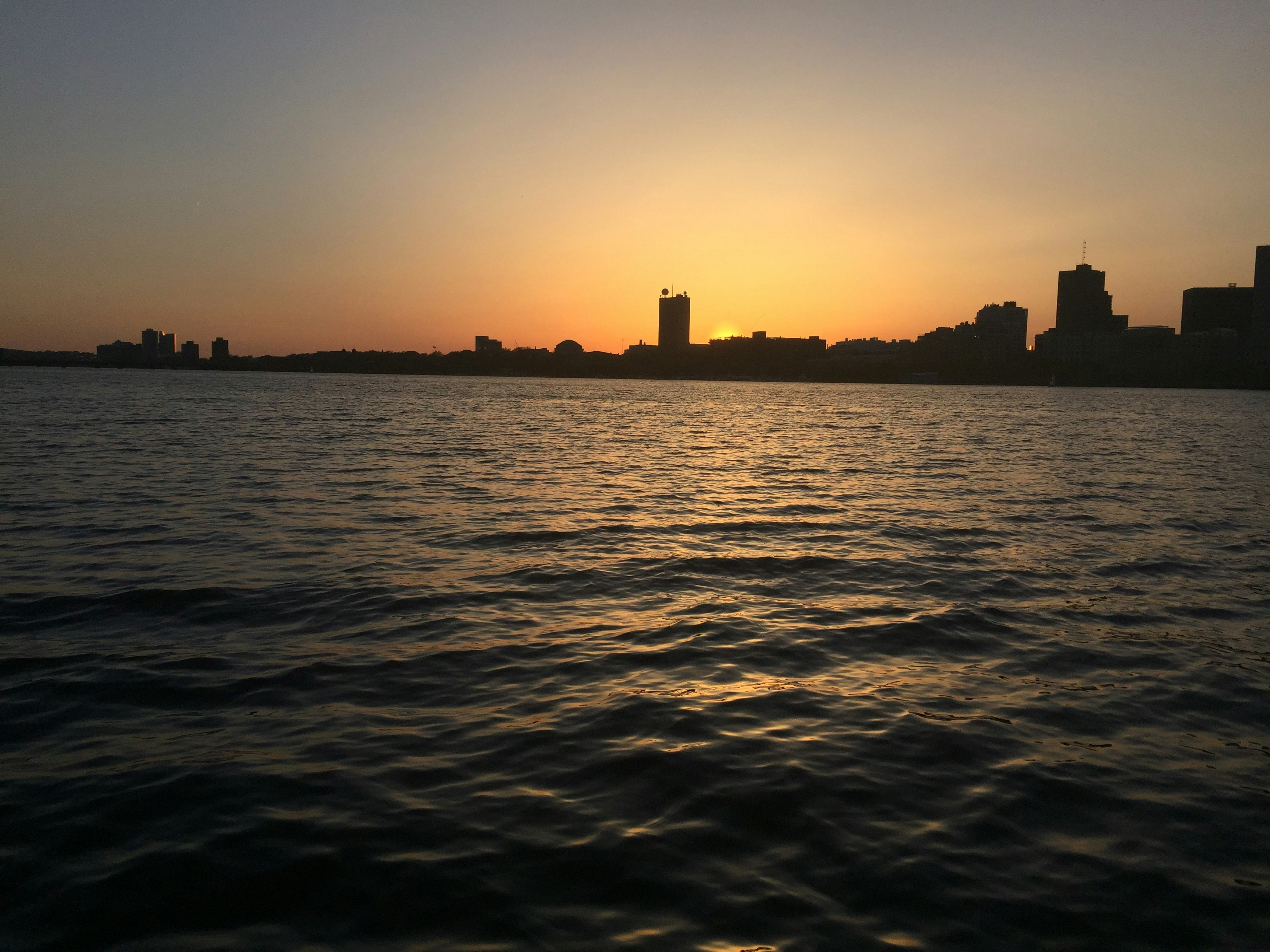 Free Unsplash photo from Haruna Ikeda