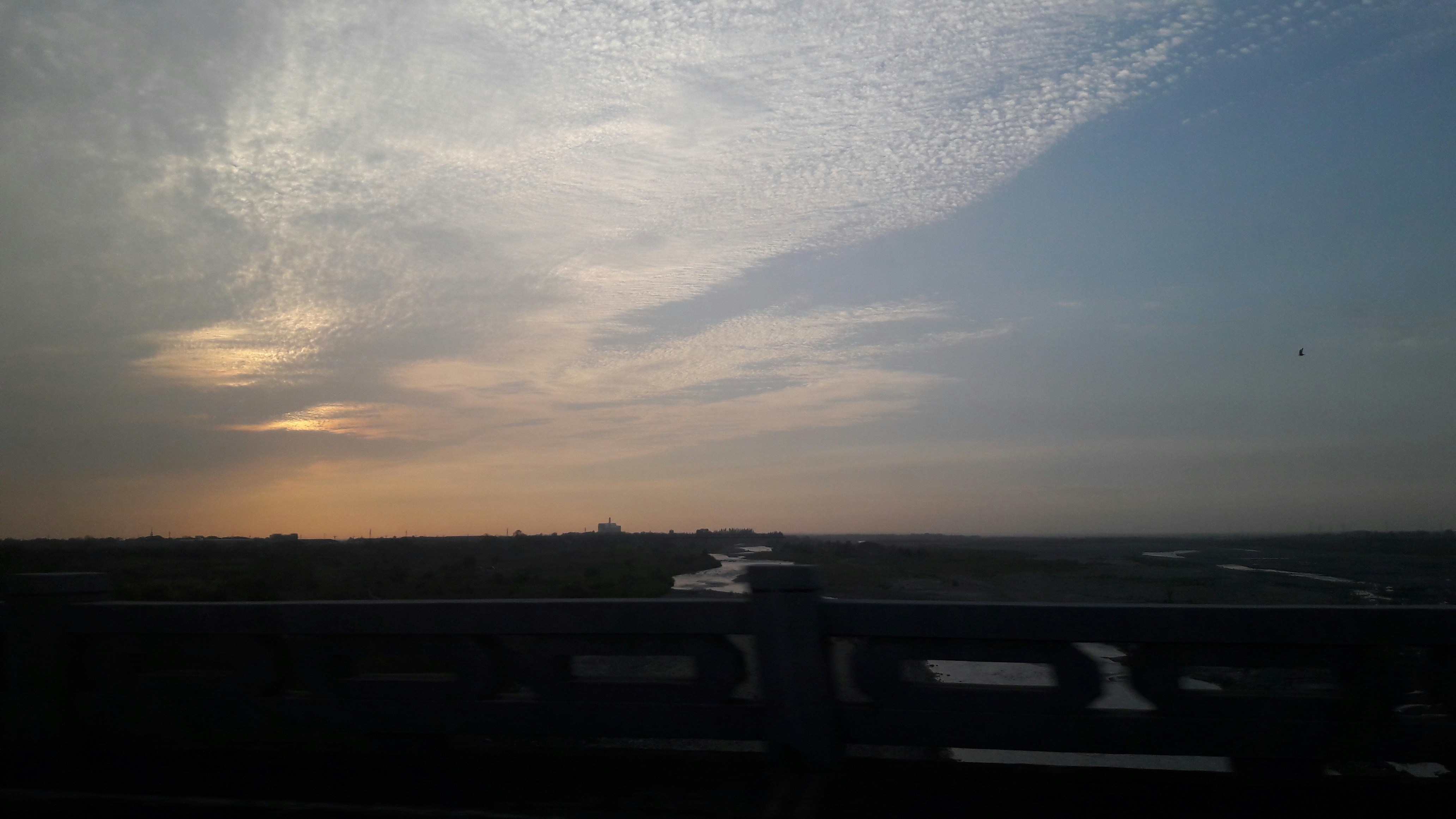 Free Unsplash photo from Yumi Shen