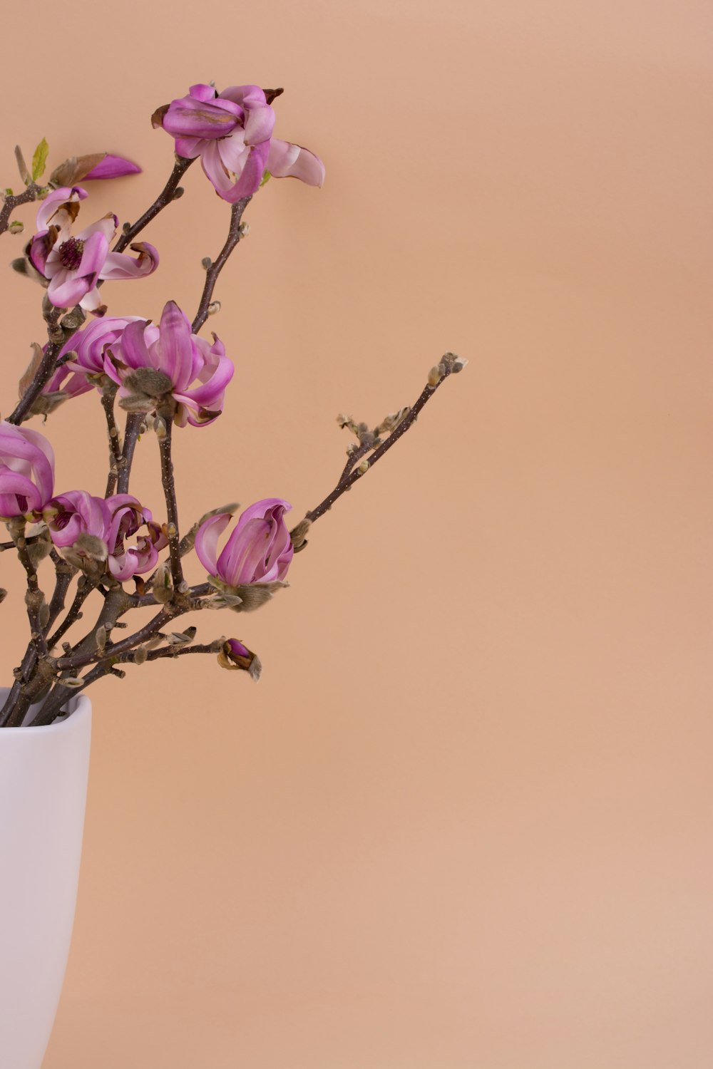 purple-petaled flowers