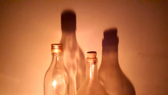 Soft natural light illuminating a collection of glass bottles, emphasizing their clarity and craftsmanship.