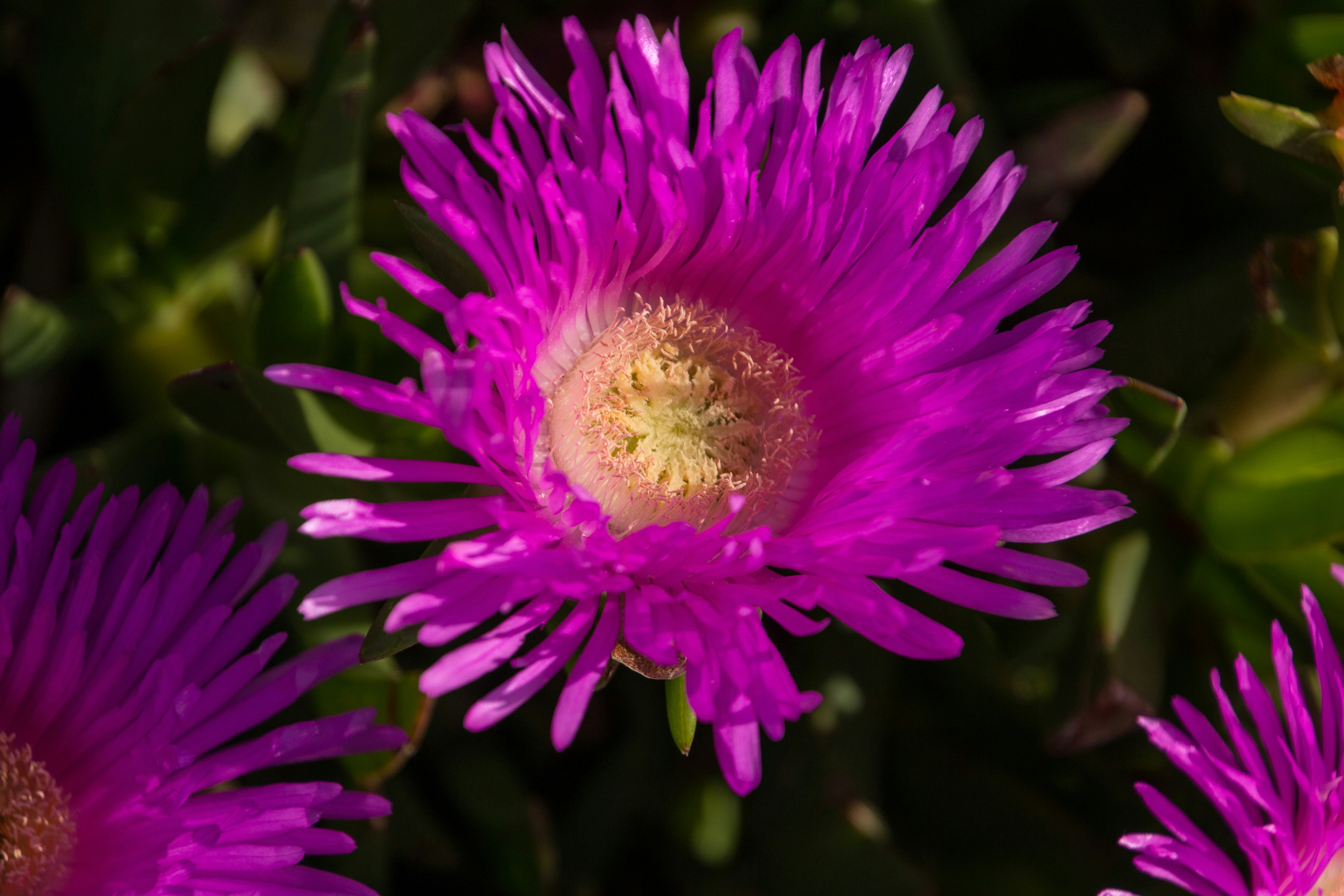 Free Unsplash photo from Marc Gustave