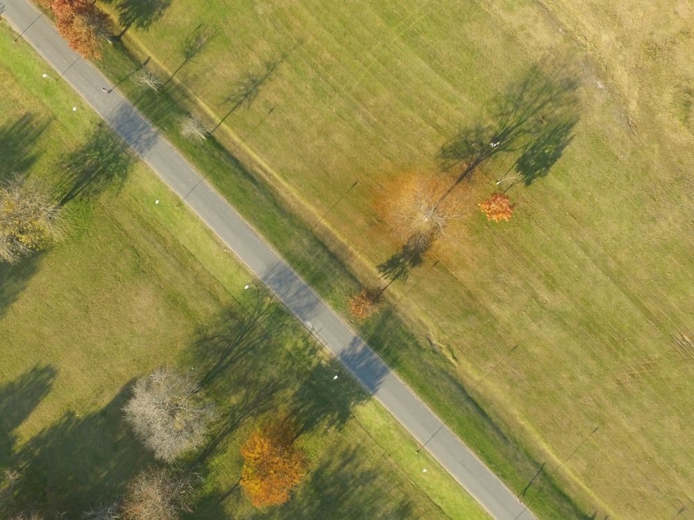 Leere Straße zwischen Bäumen in der Nähe einer Wiese am Tag