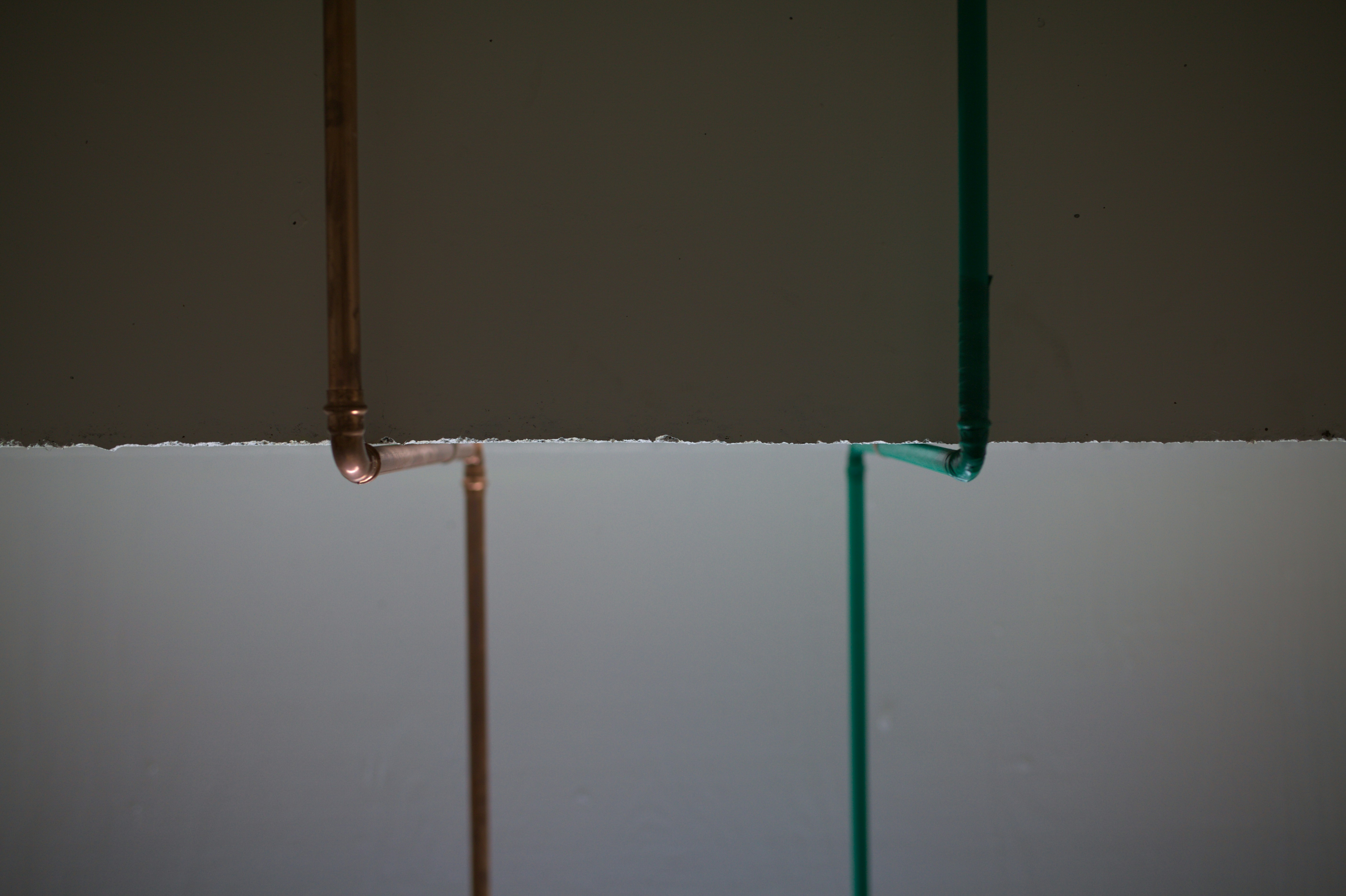 Free Unsplash photo from Alexander Possingham