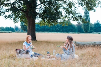 unknown persons sitting on brown grass