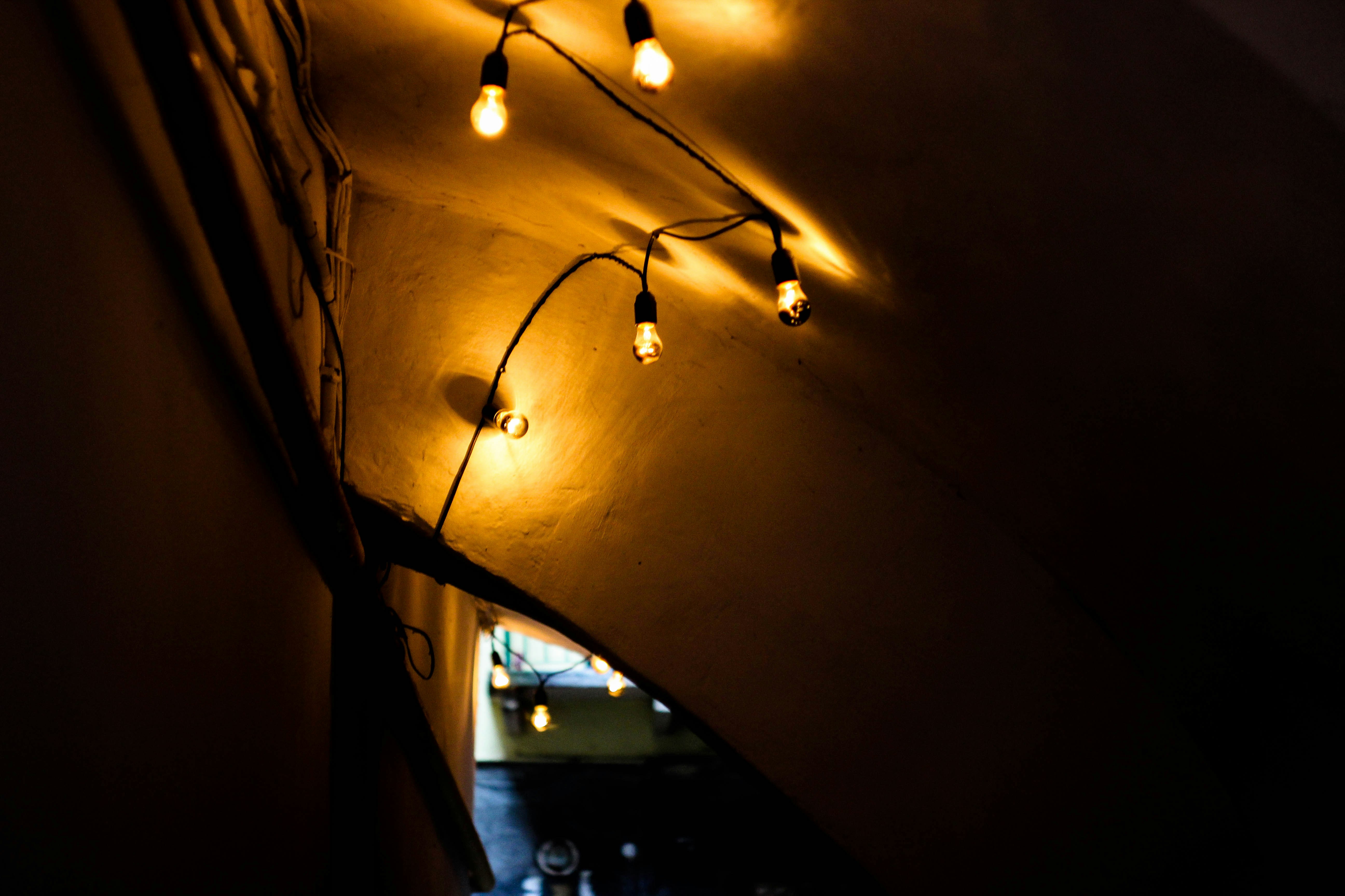 Free Unsplash photo from Inna Lesyk