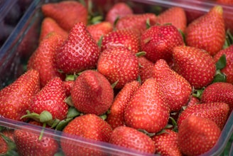 Close-up of fresh agricultural products ready for export, with a shipping container in the background.