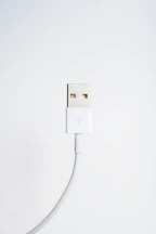 white sync cable