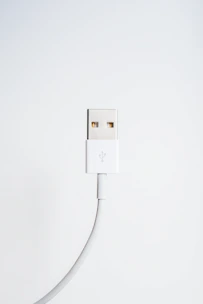 white sync cable