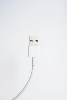 white sync cable