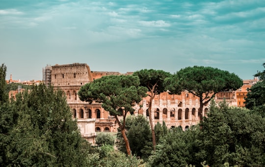 Coliseum in Italy in Palatine Hill Italy