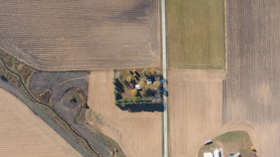An aerial view of farmland with a small cluster of trees surrounding a house. The fields are divided into various sections with different shades of brown and green. A straight road runs vertically, separating some sections. There's a patch with dark soil and a winding path in the lower left of the image.