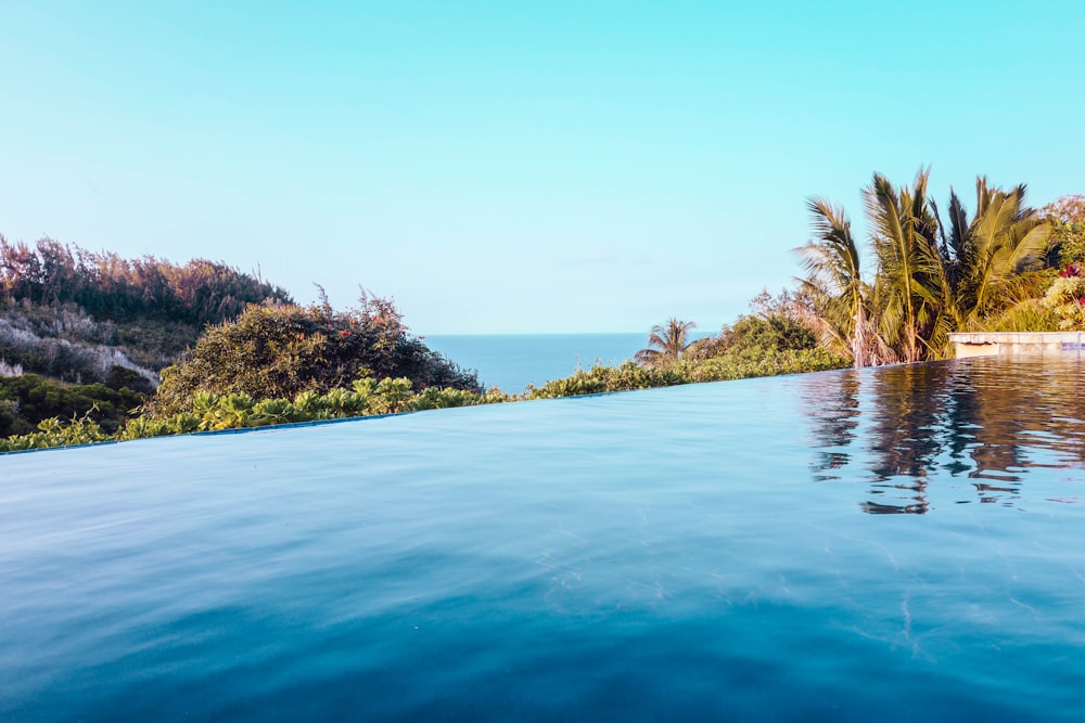 piscine à débordement à côté des arbres pendant la photo de jour