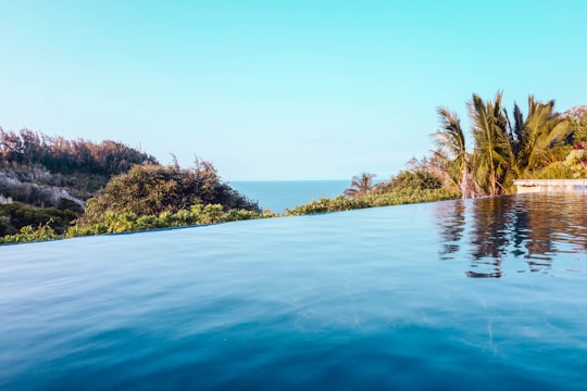 infinity pool beside trees during daytime photo in Haiku United States