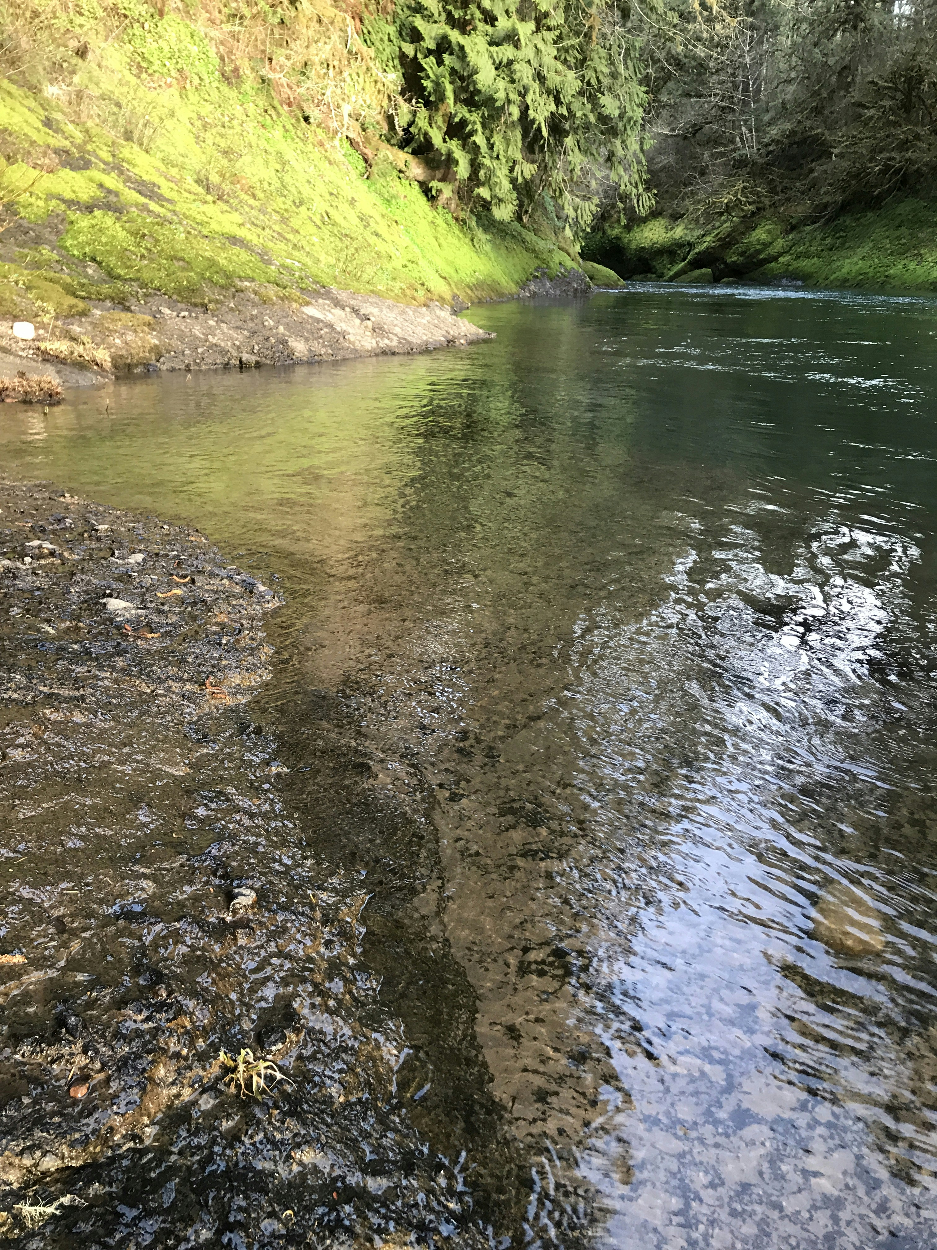 Free Unsplash photo from Thomas Nunnery