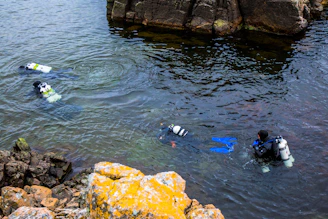 Trained divers participating in a water rescue exercise near a coastline
