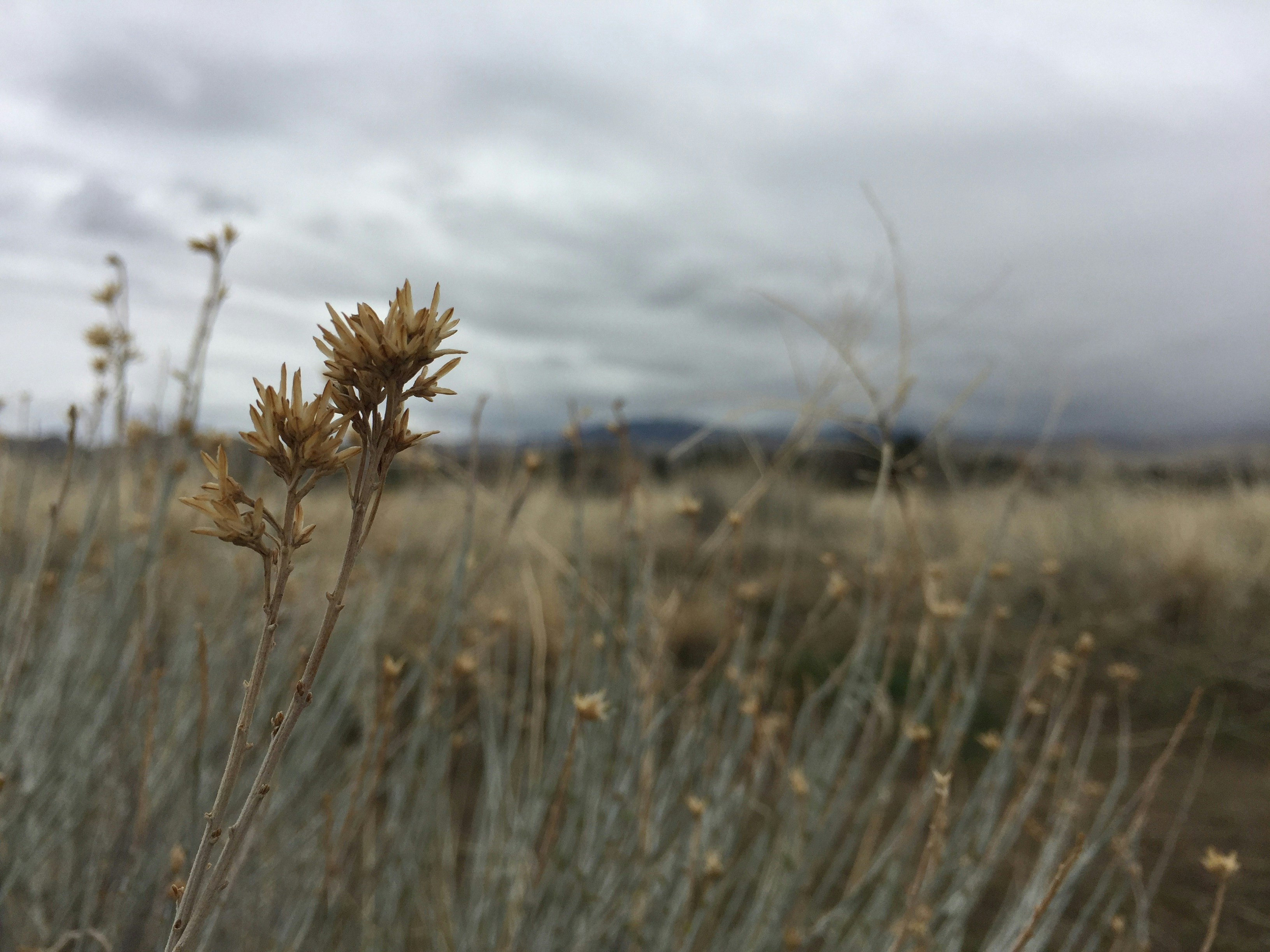 Free Unsplash photo from Isabelle Sanchez-Chapman