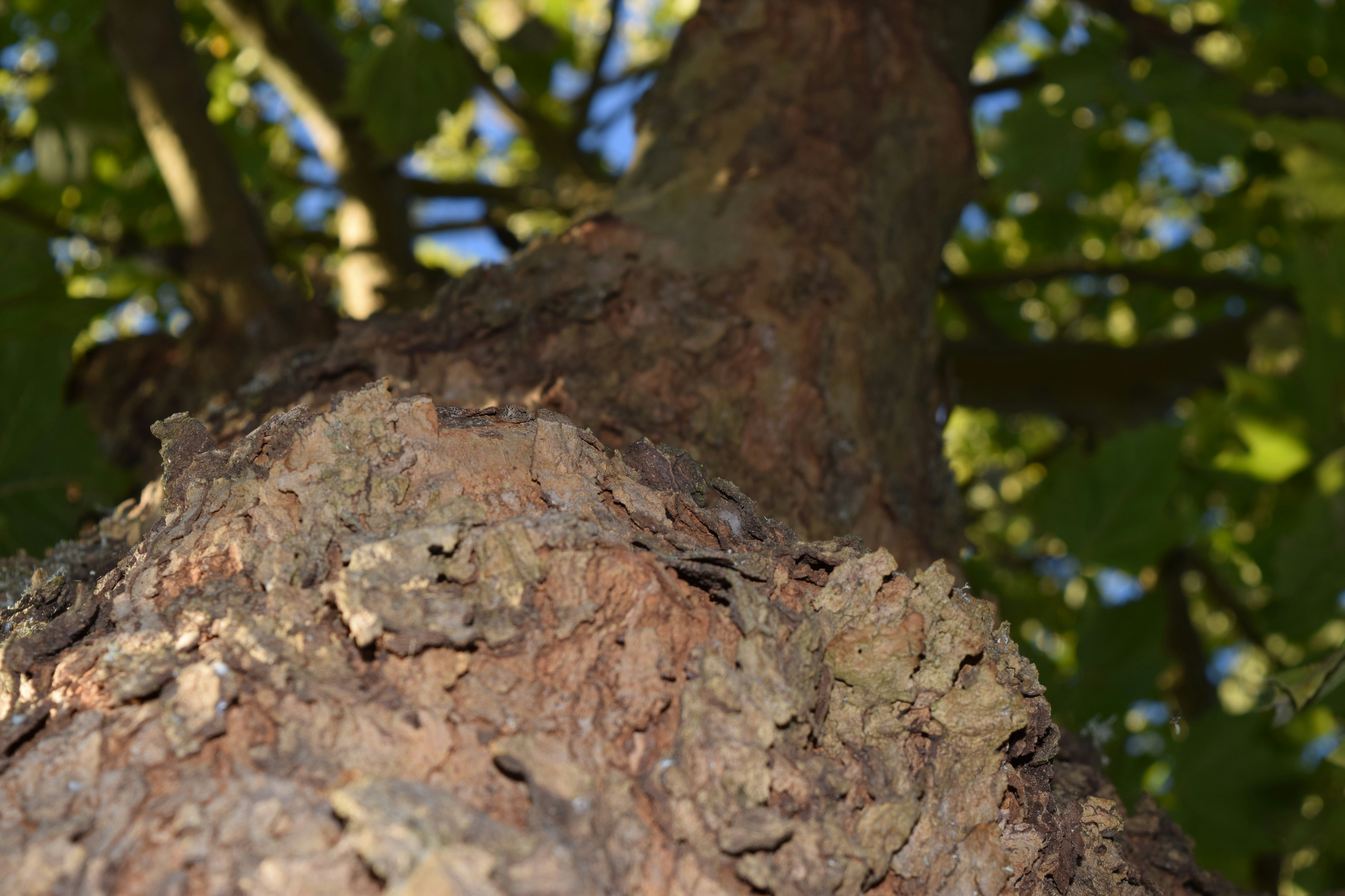 Free Unsplash photo from Lucas Blank