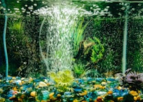 An aquarium with vibrant aquatic plants and colorful pebbles at the bottom. Air bubbles rise from a filtration system, creating a dynamic and lively underwater scene.