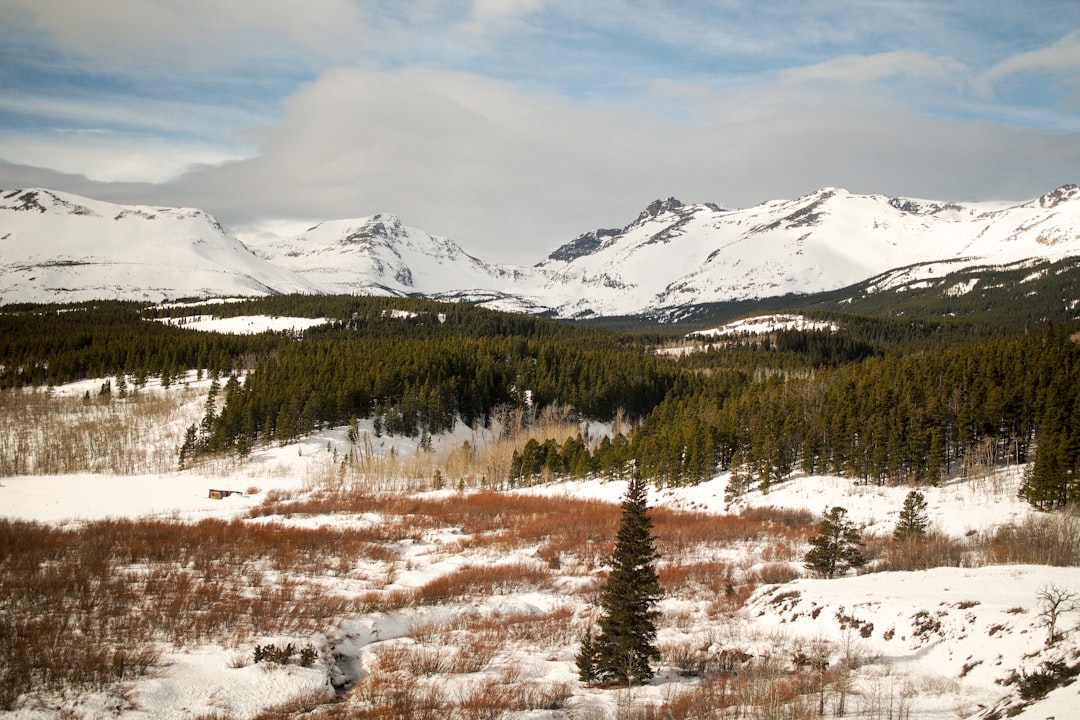 Tundra photo spot Glacier National Park United States