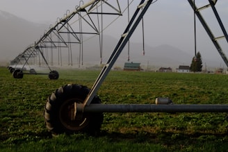 A large irrigation system with metal structures and wheels spans across a green field, with a backdrop of small buildings and distant mountains under a misty sky.