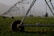 A large irrigation system with metal structures and wheels spans across a green field, with a backdrop of small buildings and distant mountains under a misty sky.