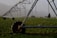 A large irrigation system with metal structures and wheels spans across a green field, with a backdrop of small buildings and distant mountains under a misty sky.