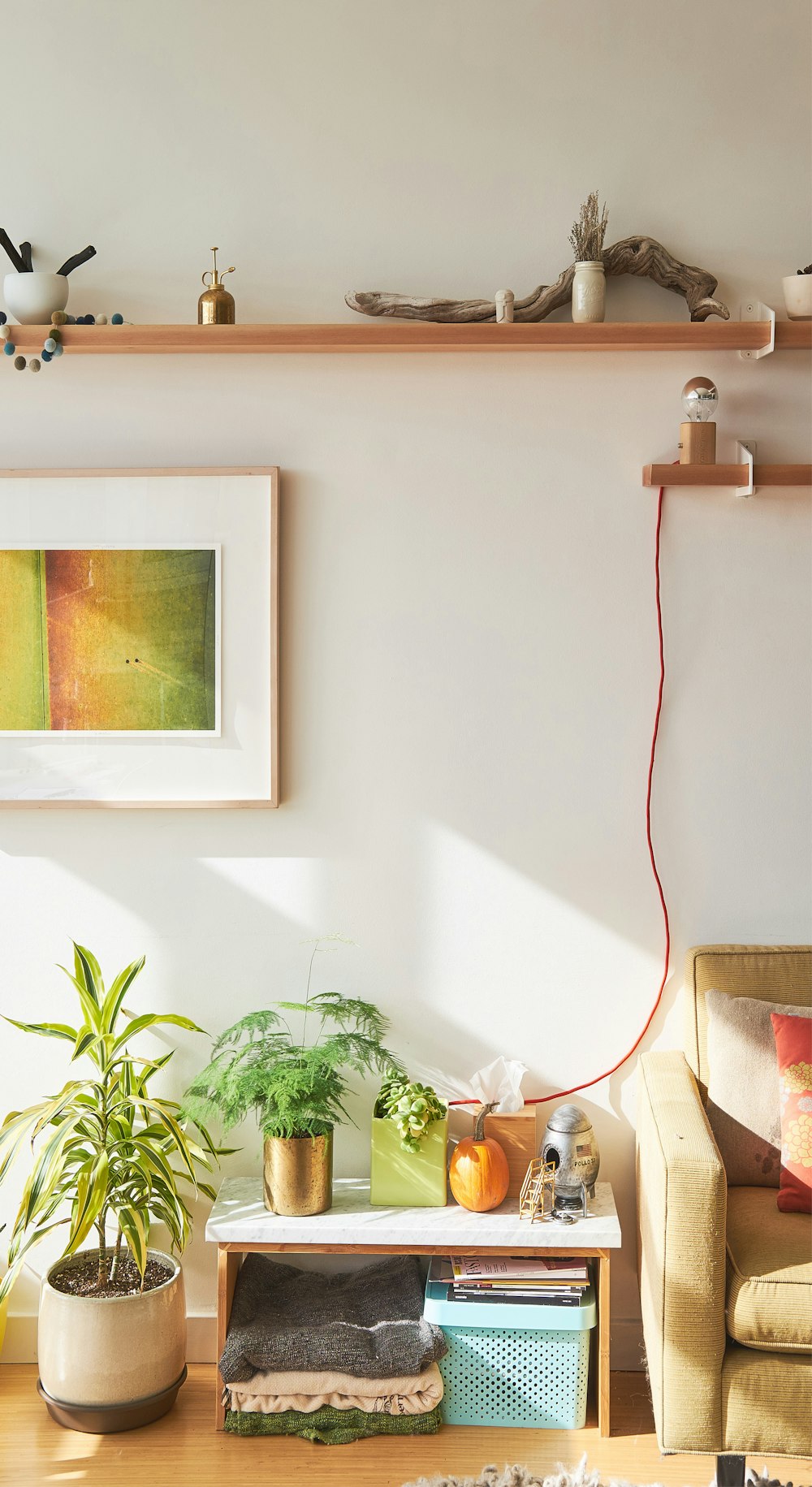 green potted plant on white and brown wooden table