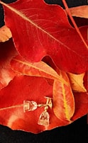 A cozy autumn setting with earrings nestled among fallen leaves and warm fabrics.