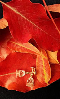 A collection of seasonal beaded earrings displayed on a rustic wooden board with autumn leaves.
