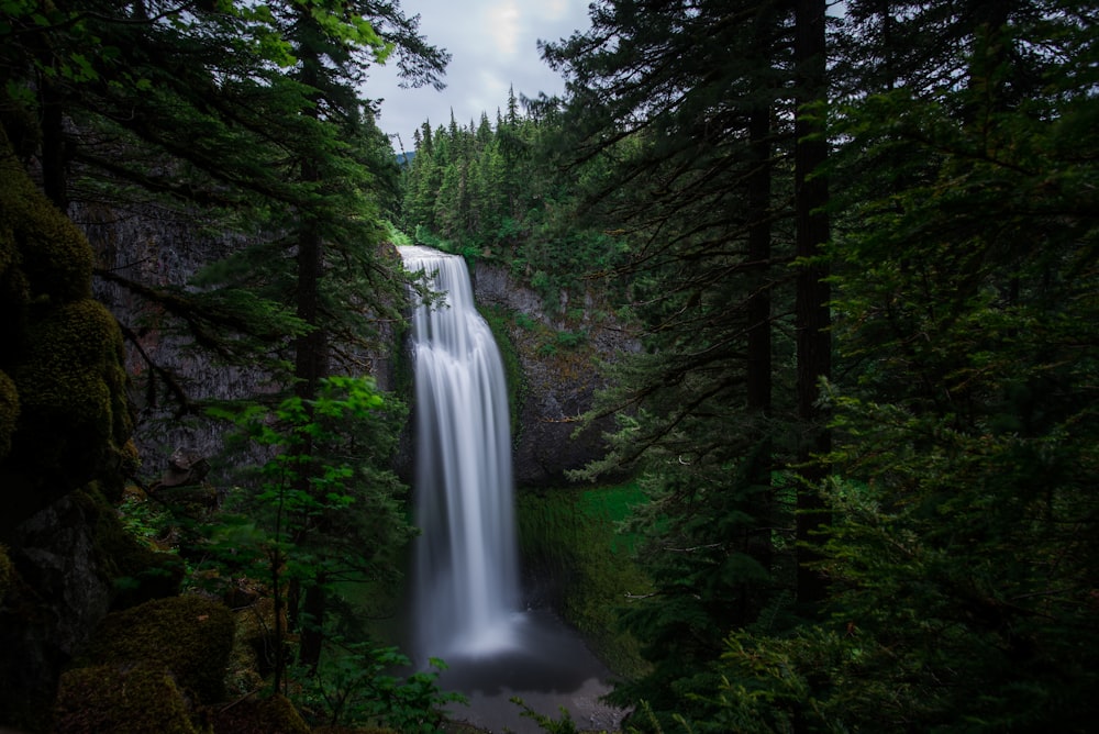 green trees near waterfalls during daytime