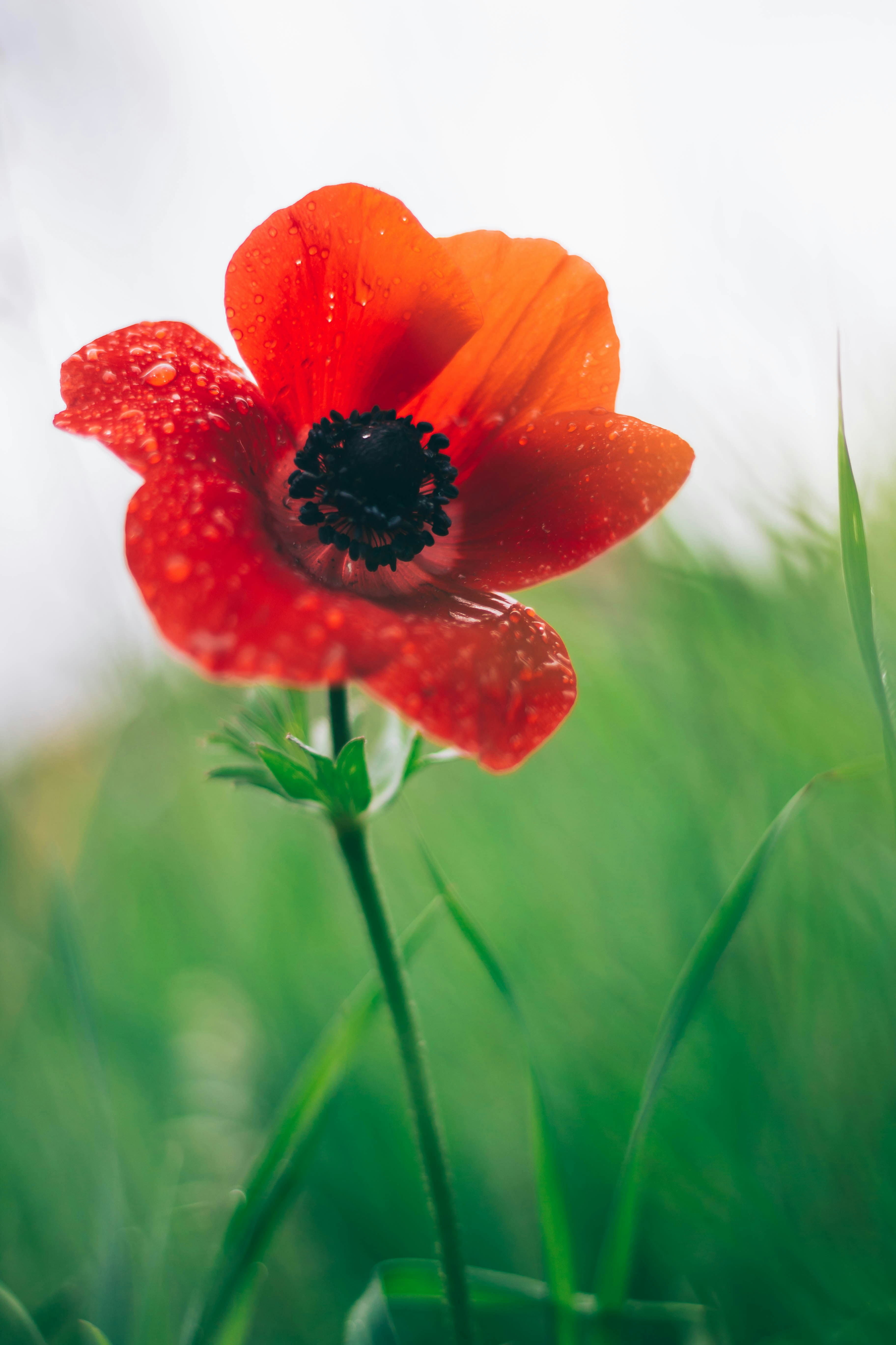 Free Unsplash photo from Idan Arad