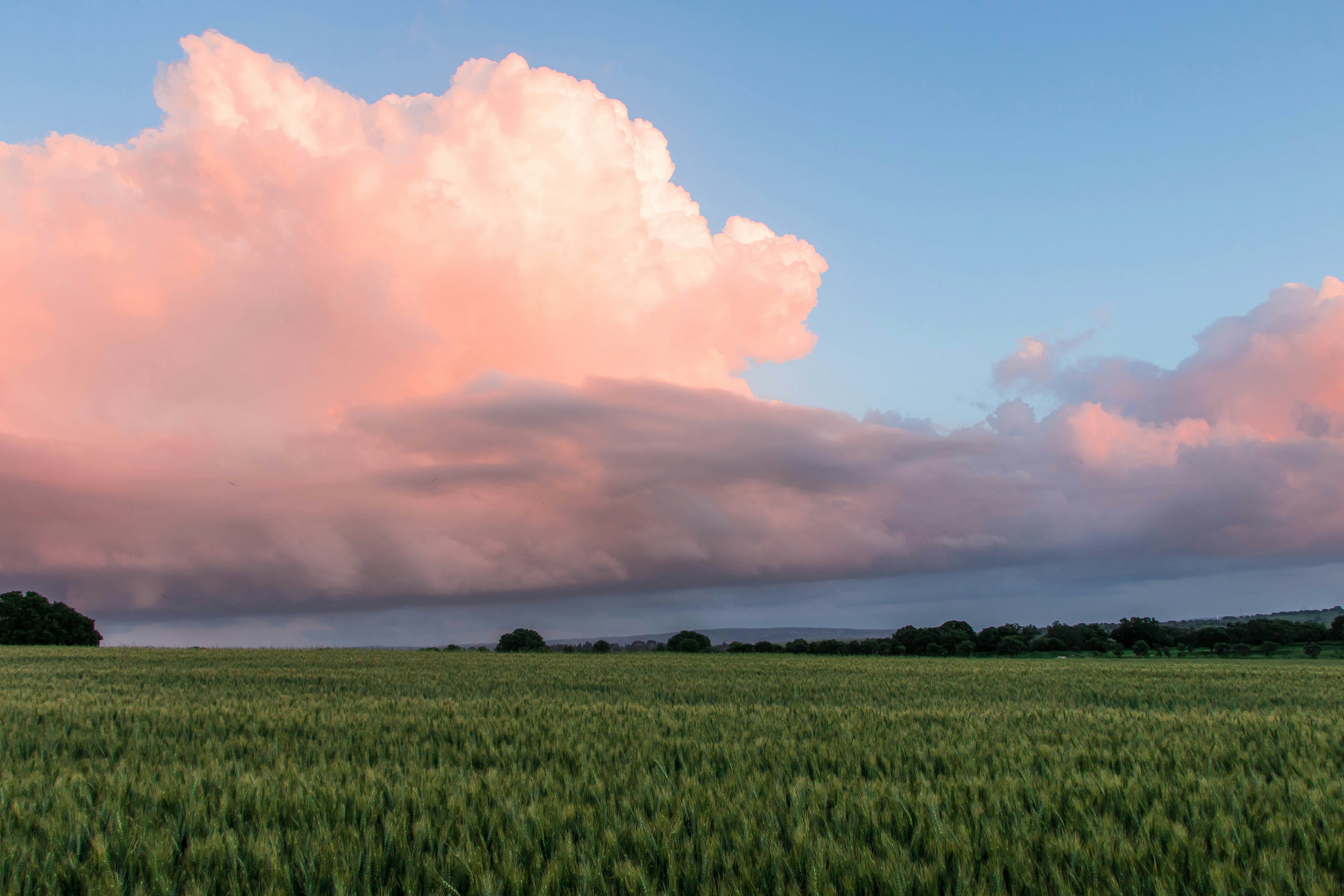 Free Unsplash photo from Idan Arad