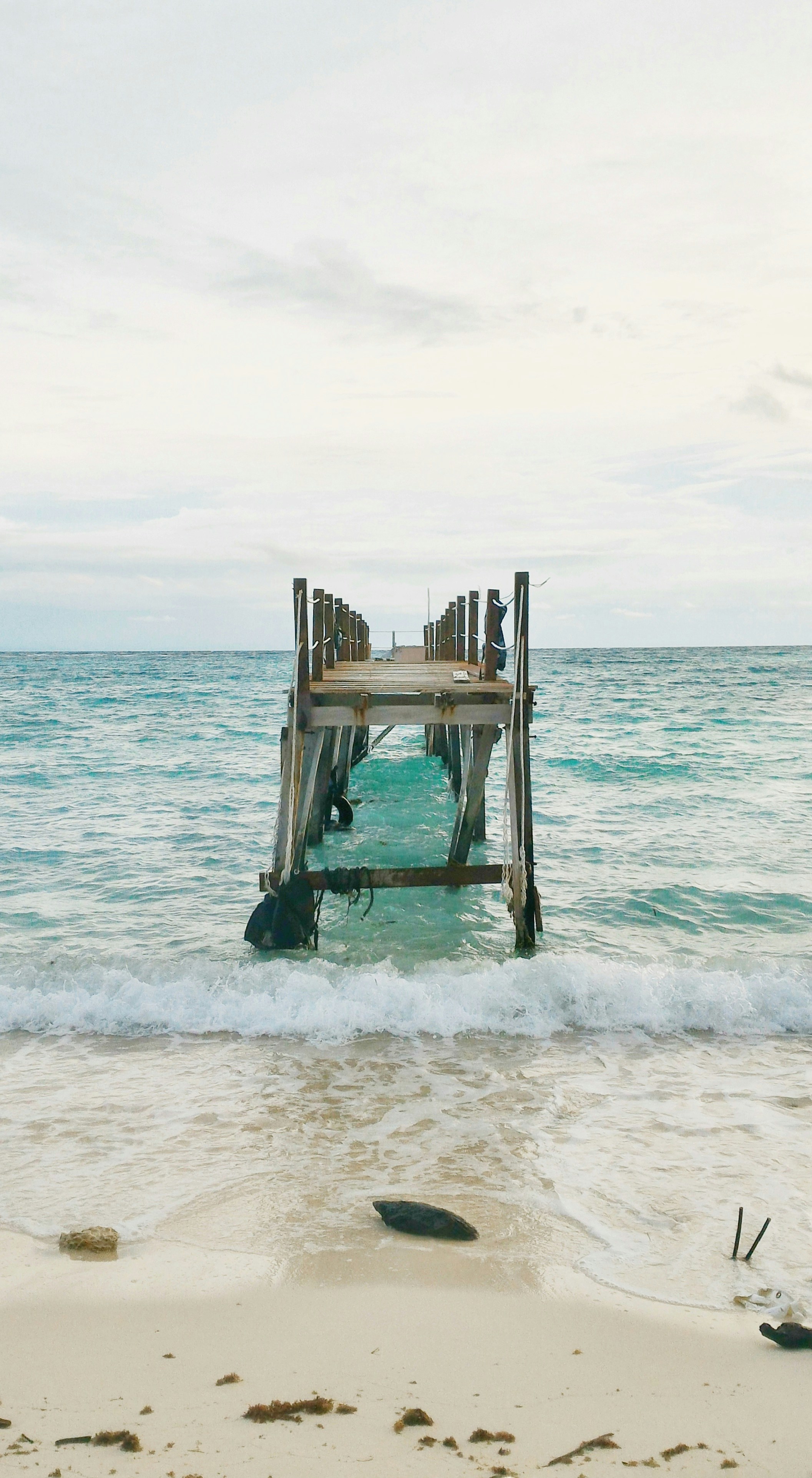 Free Unsplash photo from Mavel Custodio