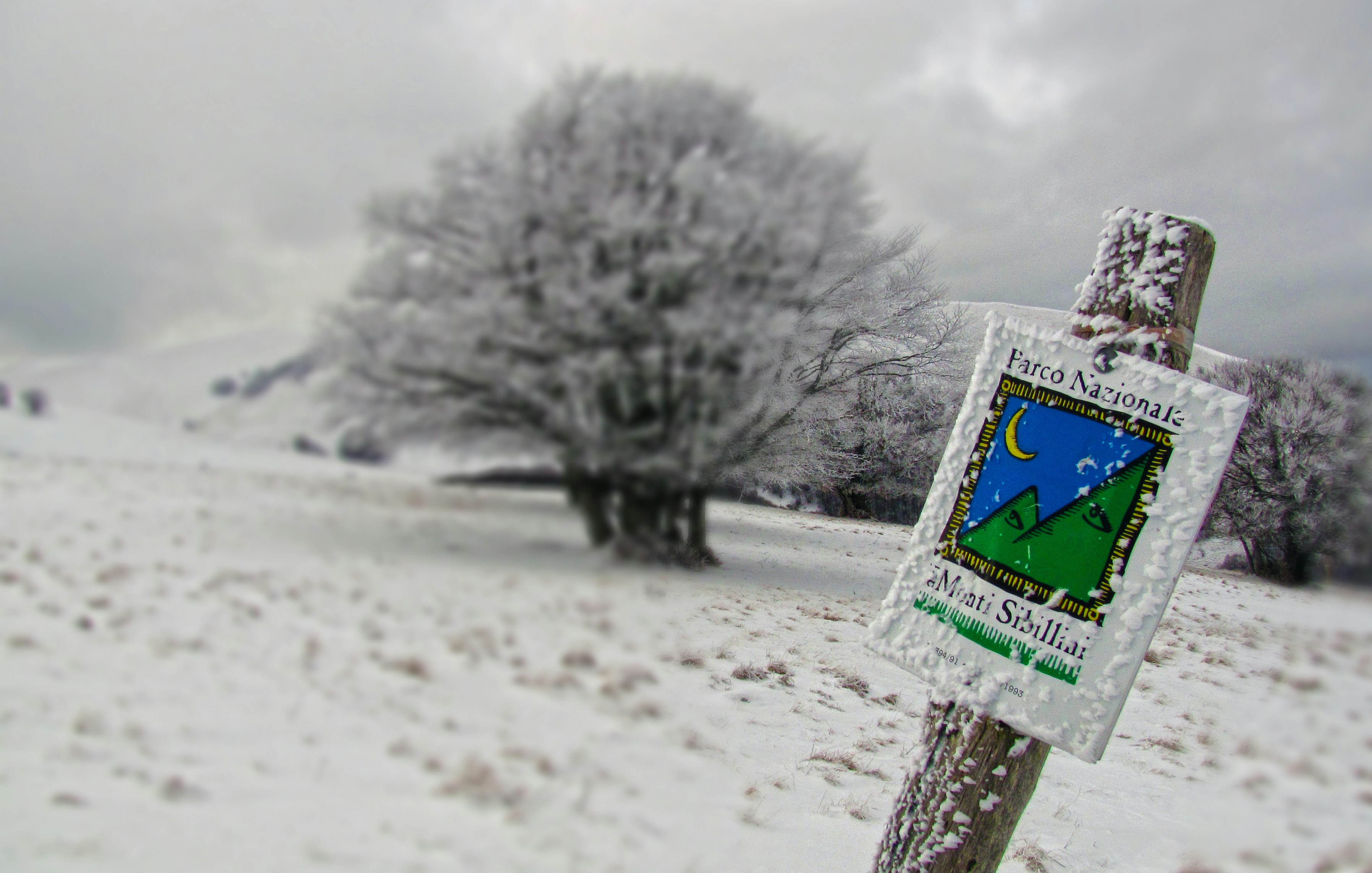 Free Unsplash photo from marco forno