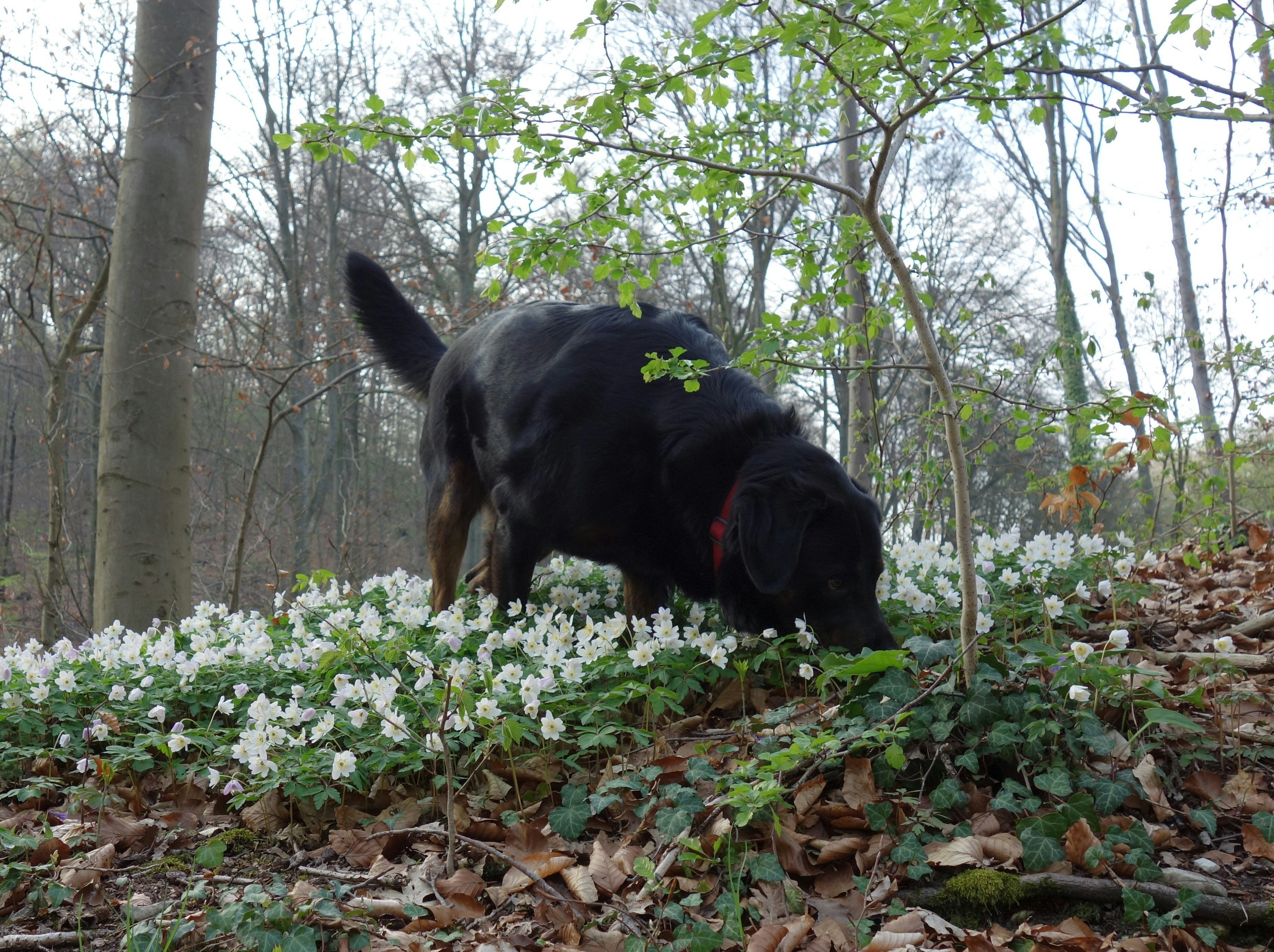 Free Unsplash photo from moeller