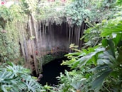A lush, tropical scene featuring a natural sinkhole surrounded by abundant greenery. Long vines cascade down from the top, and the water below reflects a dark, serene surface. People are standing on a rock ledge near the water, possibly preparing to swim or explore.