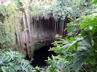 A lush, tropical scene featuring a natural sinkhole surrounded by abundant greenery. Long vines cascade down from the top, and the water below reflects a dark, serene surface. People are standing on a rock ledge near the water, possibly preparing to swim or explore.