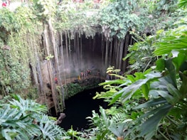 A lush, tropical scene featuring a natural sinkhole surrounded by abundant greenery. Long vines cascade down from the top, and the water below reflects a dark, serene surface. People are standing on a rock ledge near the water, possibly preparing to swim or explore.